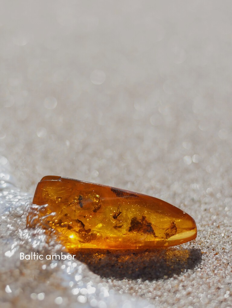 Baltic amber on the sea