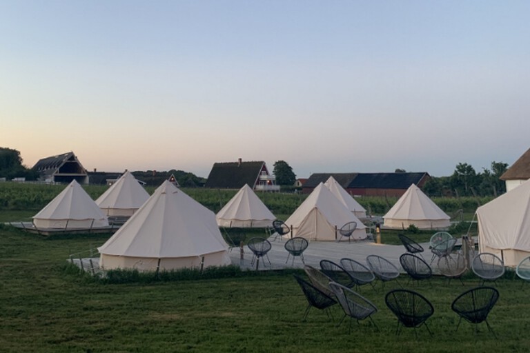 Glamping tents in a Swedish field