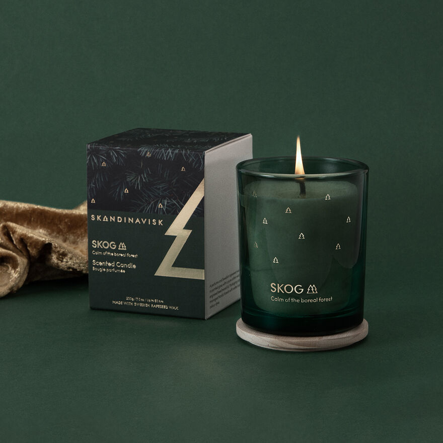 SKOG Gold 200g Scented Candle - photo 4 | Skandinavisk