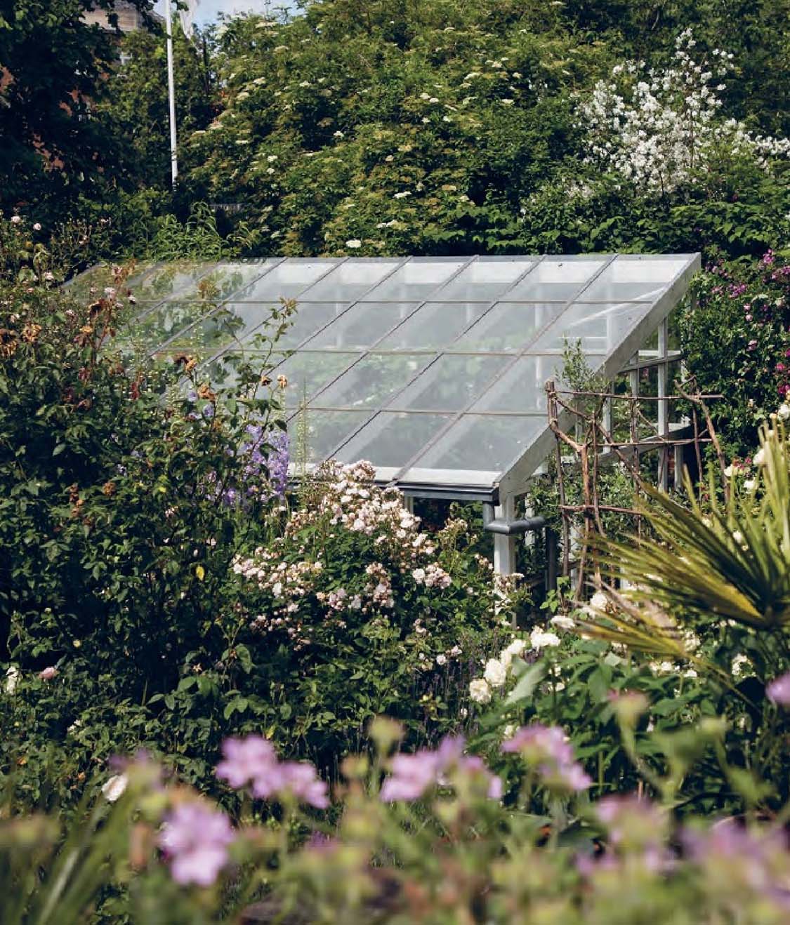 greenhouse