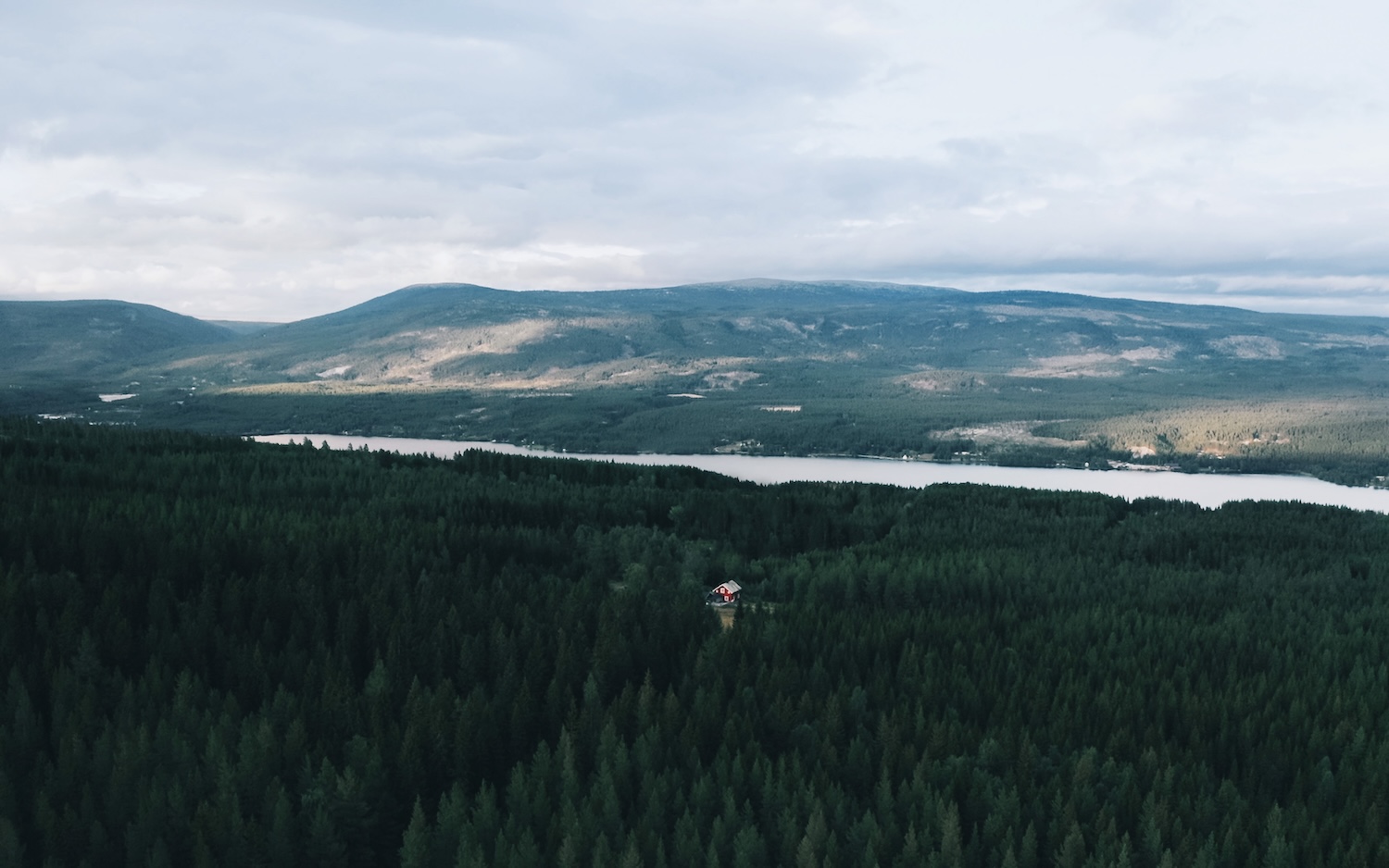 From above, the forest stretches endlessly — and in the middle of it all, a home.
