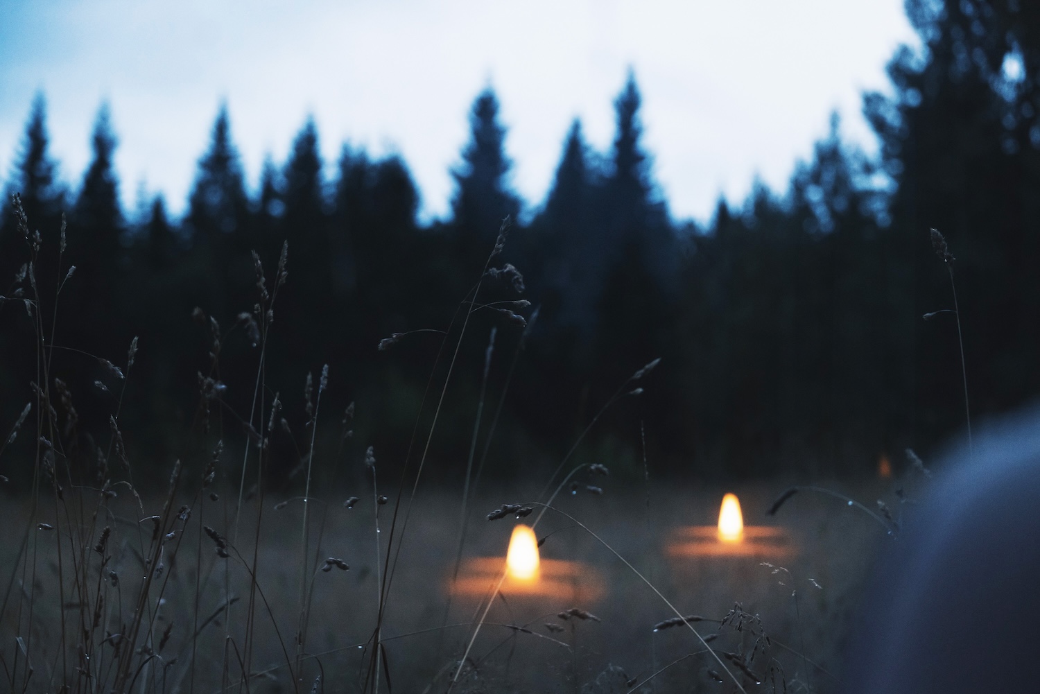 The first lights flicker in the meadow — quiet moments before nightfall.