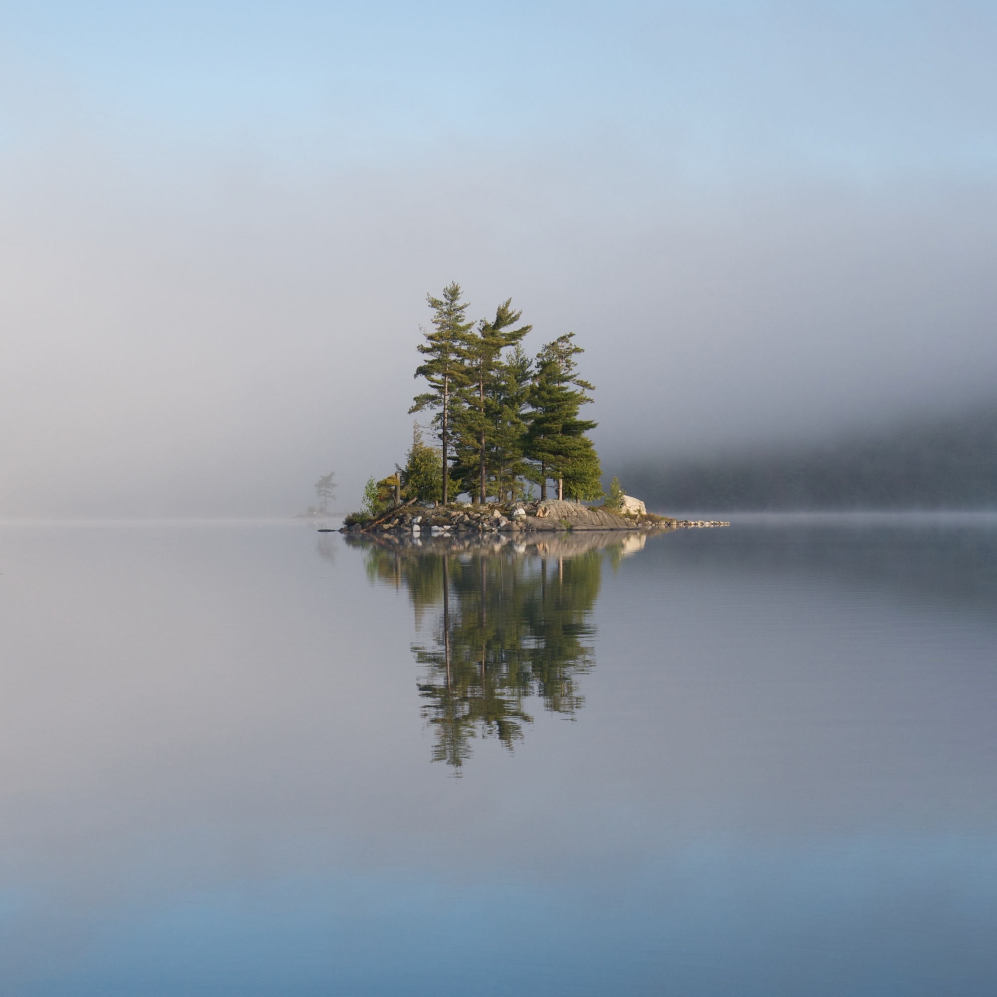 island with trees in the lake