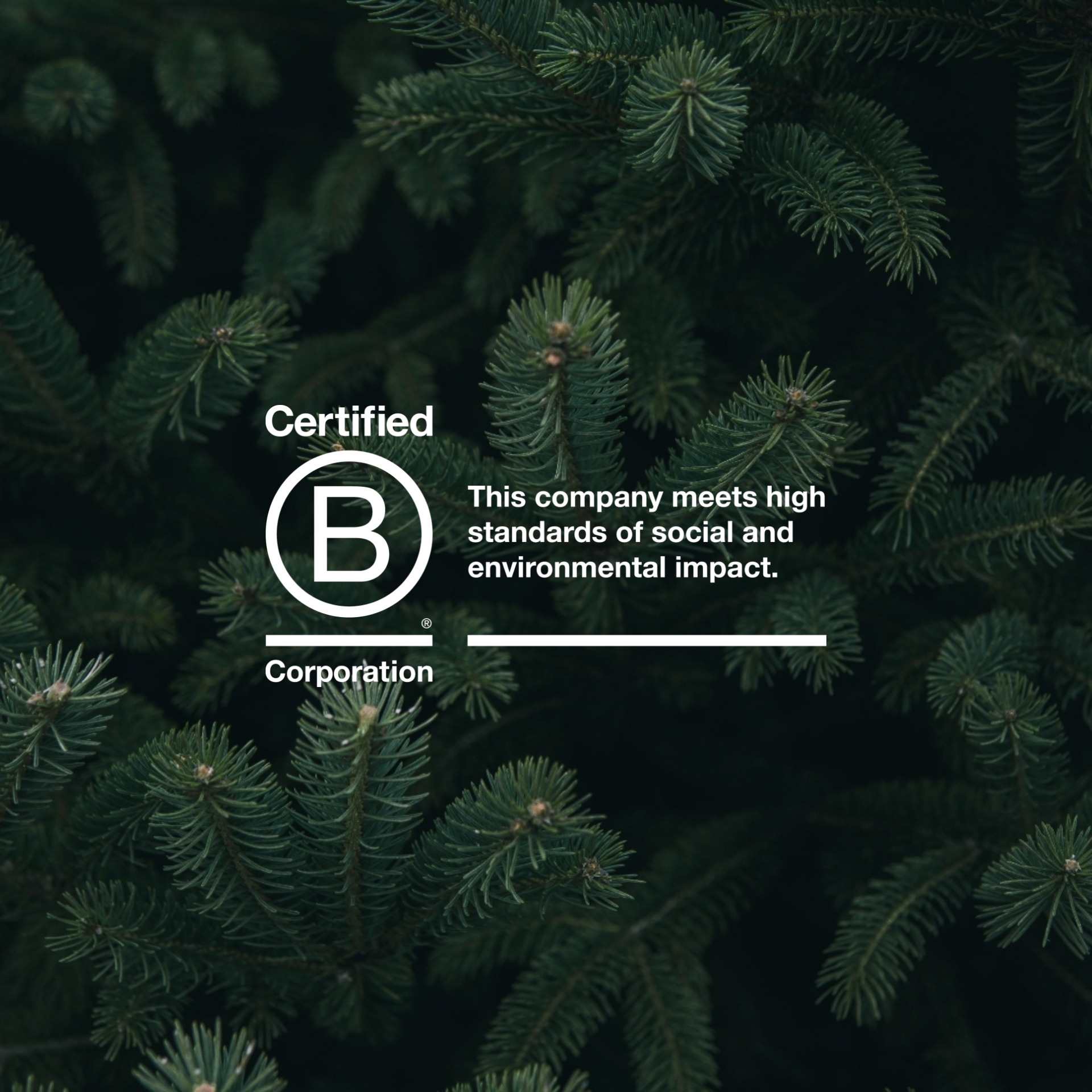 Certified B Corporation