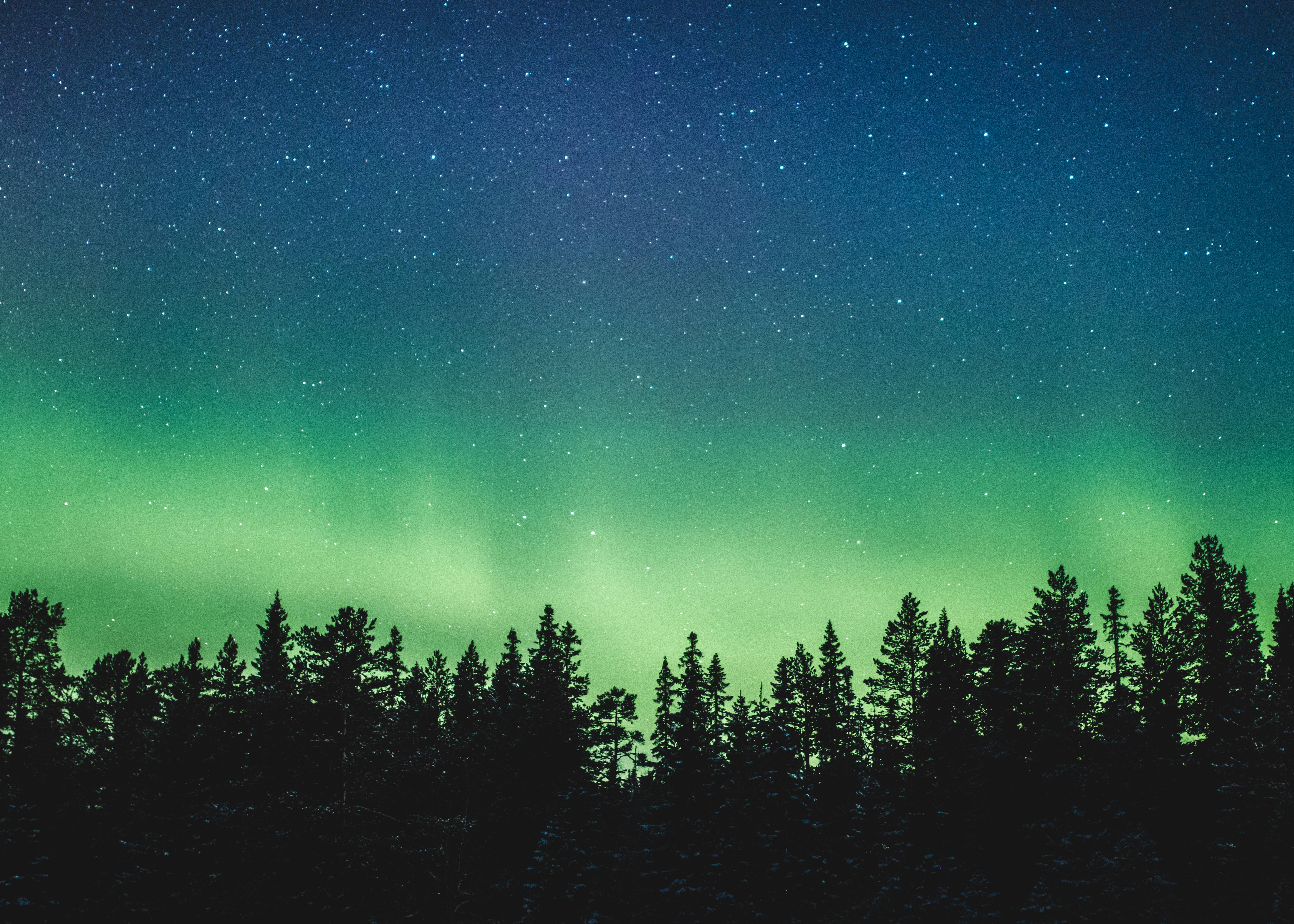 Northern lights photographed by Leena Henningsen