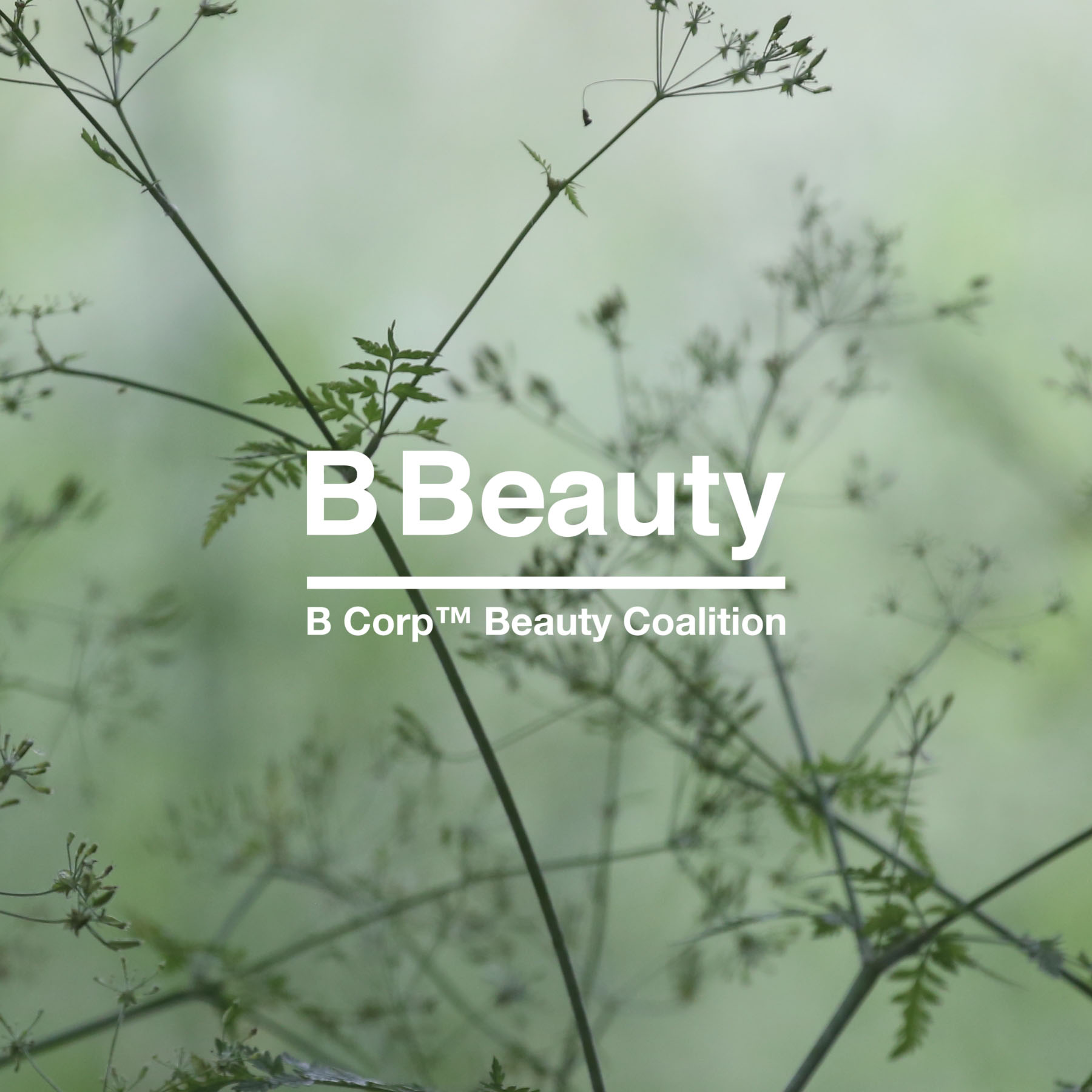 b beauty logo with floral background