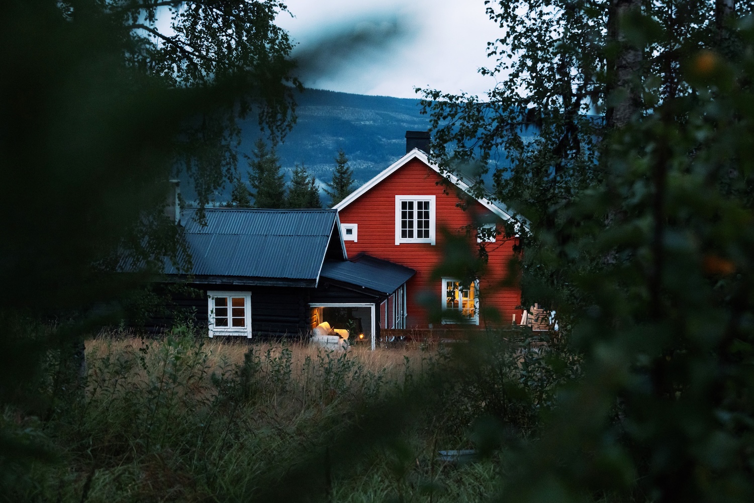A cabin among the trees. A story whispered by the forest.