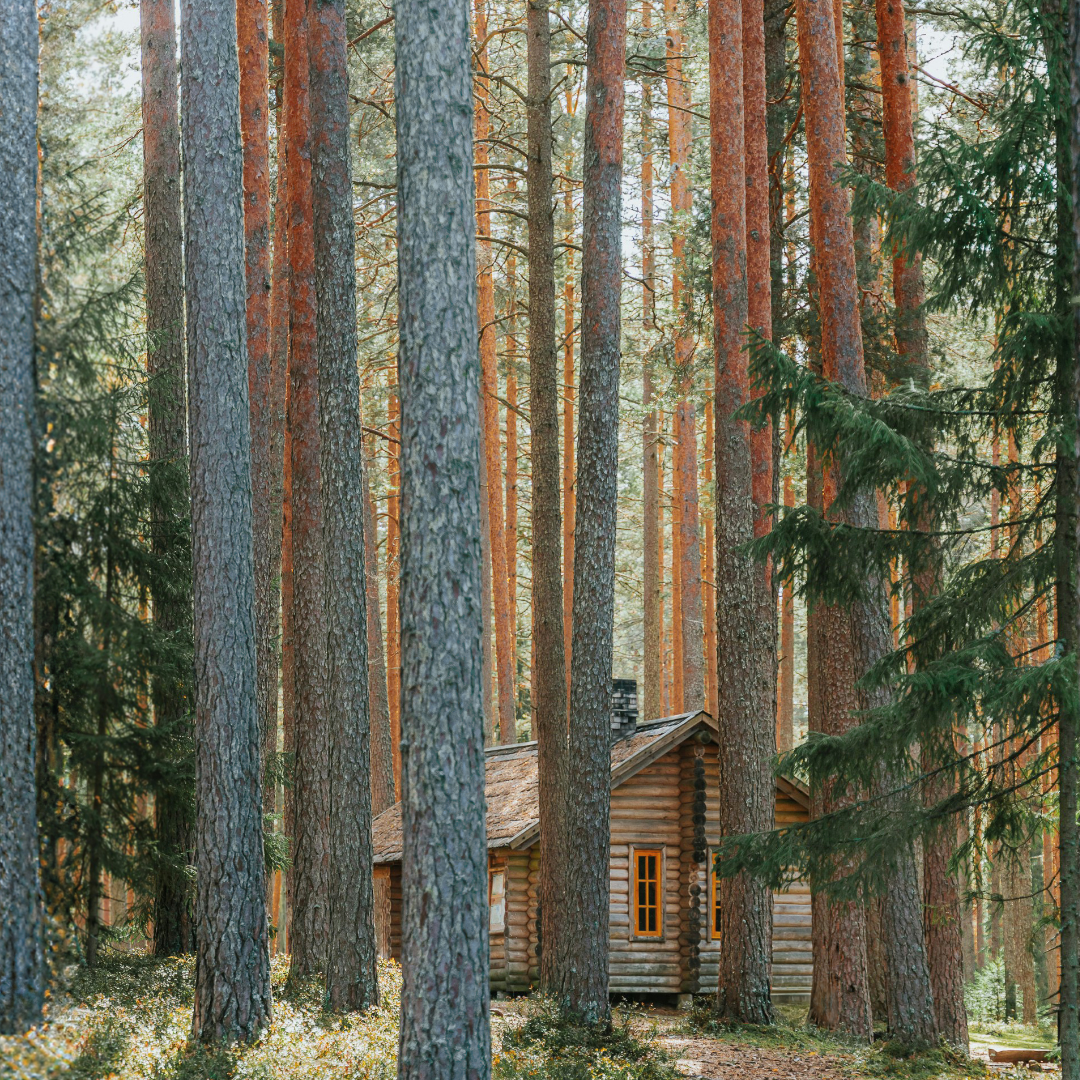 ingredients | Skandinavisk